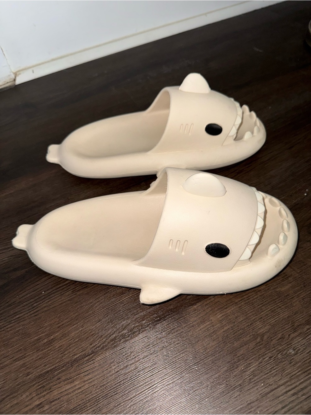 Shark Slide Clog Sandals in Cream